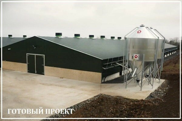 Этапы возведения птицефабрики от завода ВелесТент-чрм